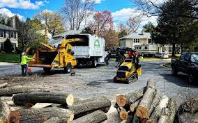 Best Tree Removal Services  in Hopelawn, NJ